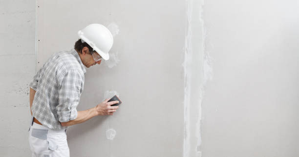 Best Wallpaper Removal and Painting  in Leadington, MO