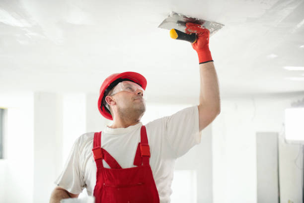 Best Drywall Removal and Disposal  in Leadington, MO